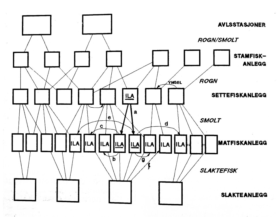 Figur 1. Strukturen vs. ILA, hvordan ILA kan spres I dagens åpne struktur. Aktiv smitte: a. Smolt kan overføre ILA-agens; b. Fisk i pensjon; c. Kjøp av matfisk; d. Dumping av fisk; e. Felles personale; f. Retur av fisk fra slakteri; Passiv smitte: - g. geografisk og oseanografisk nærhet. «ILA». er smittet lokalitet via smolten, mens «ILA» er smittet via aktiv og passiv smitte.