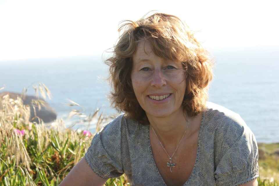 Marianne Elisabeth Lien professor