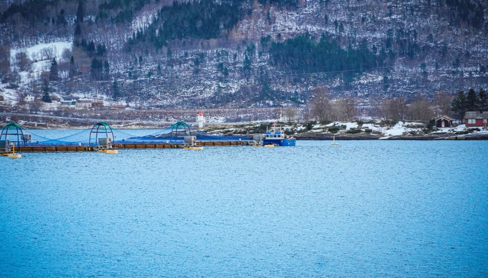 Edelfarms landbase Øksengård i Saltdal kommune
