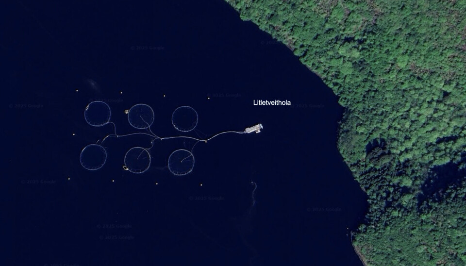 Det var frå denne lokaliteten rømminga skjedde.