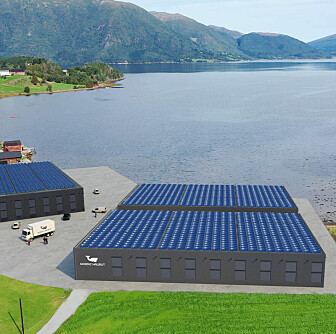 Landet storordre til nytt kveiteanlegg