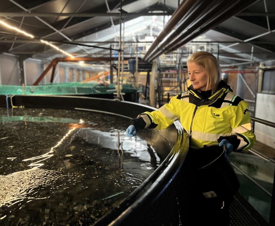 Ti tusen tonn innen 2031 – slik skal de lykkes