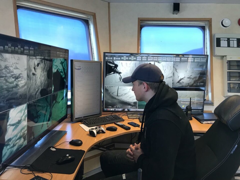 Elias Dypaune sitter i full konsentrasjon og følger med på laksen og at den spiser godt. Foto: Marine Harvest.