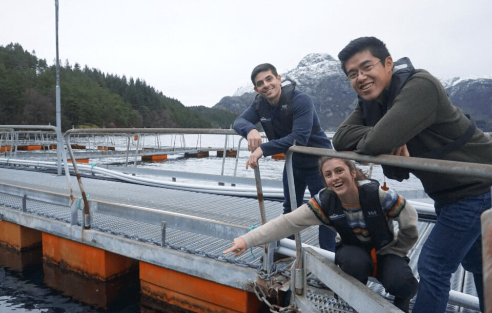 Gründerne av selskapet Manolin jobbet opprinnelig i USA på flere prosjekter for amerikanske myndigheter. F. v.: John Costantino (CTO), Natalie Brennan (COO) og Tony Chen (CEO). Foto: John Costantino/Manolin.