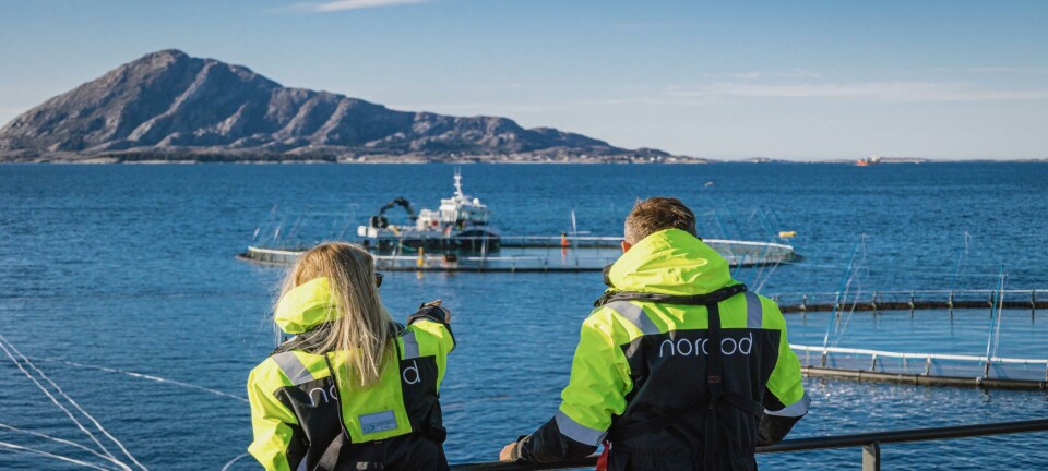 Norwegian cod farmers face stricter rules to better protect wild stocks