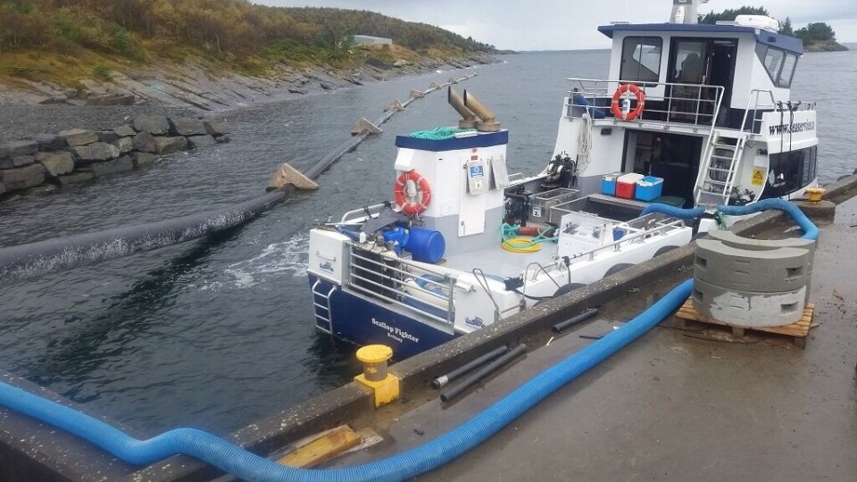 Fra sndre levering av rognkjeks fra Ryfylke Rensefisk sitt nyeste anlegg på Talgje. Foto: Kvitsøy Sjøtjenester