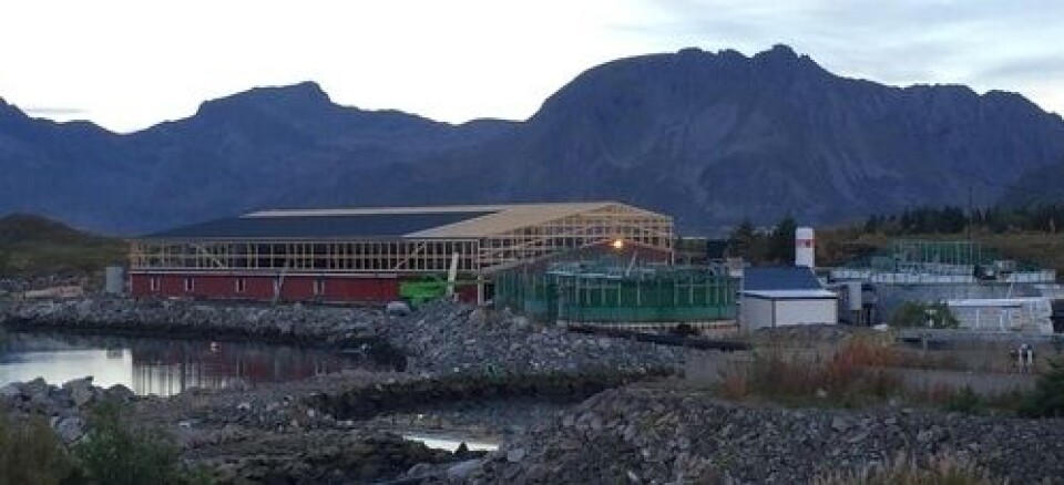 Framnessmolt sitt anlegg i Nordland. Foto: Arkiv.