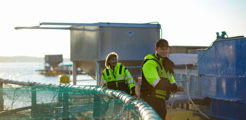 Nordic Halibut jobber strategisk for å nå et produksjonsvolum på 10 000 tonn kveite innen 2031.