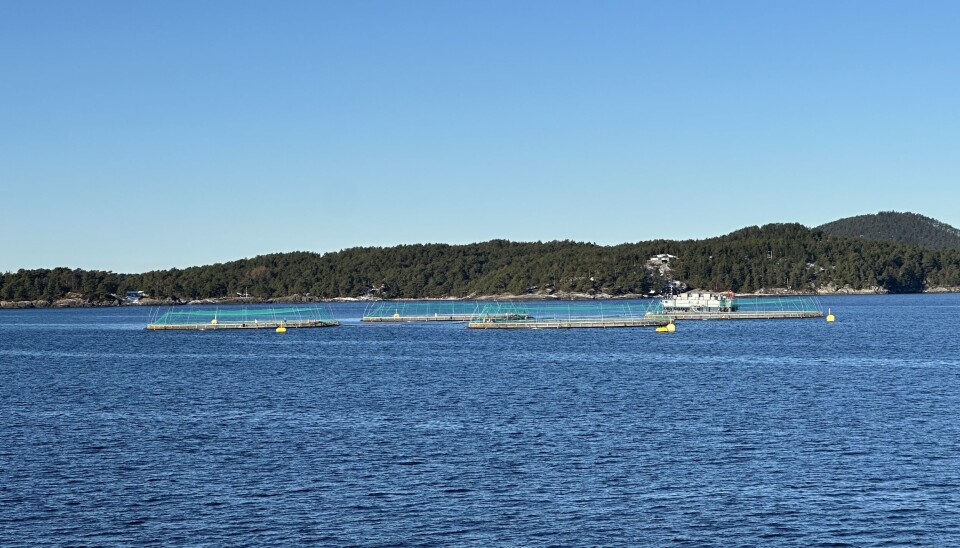 Gulholmen-Lerøy vest Februar 2025.