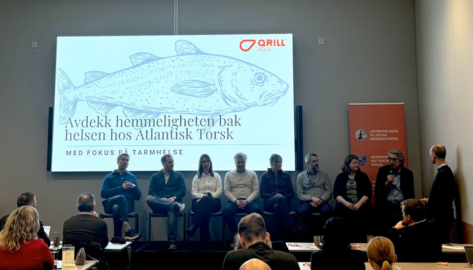 Panelet diskuterte tarmhelse hos oppdrettstorsk.