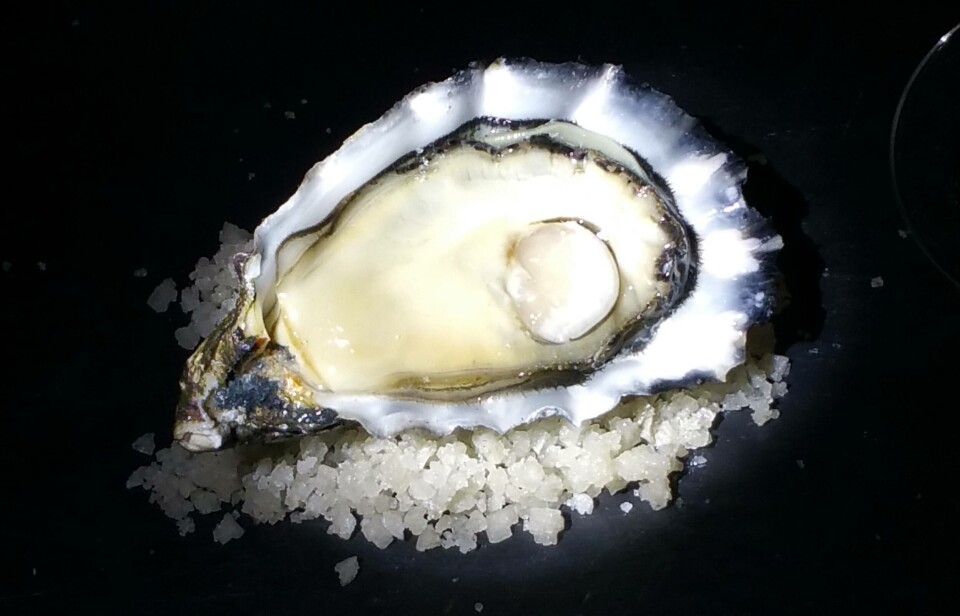 Østers-selskap fikk ASC-sertifisering som første bedrift i Frankrike. Foto: Huitres Favier Earl.