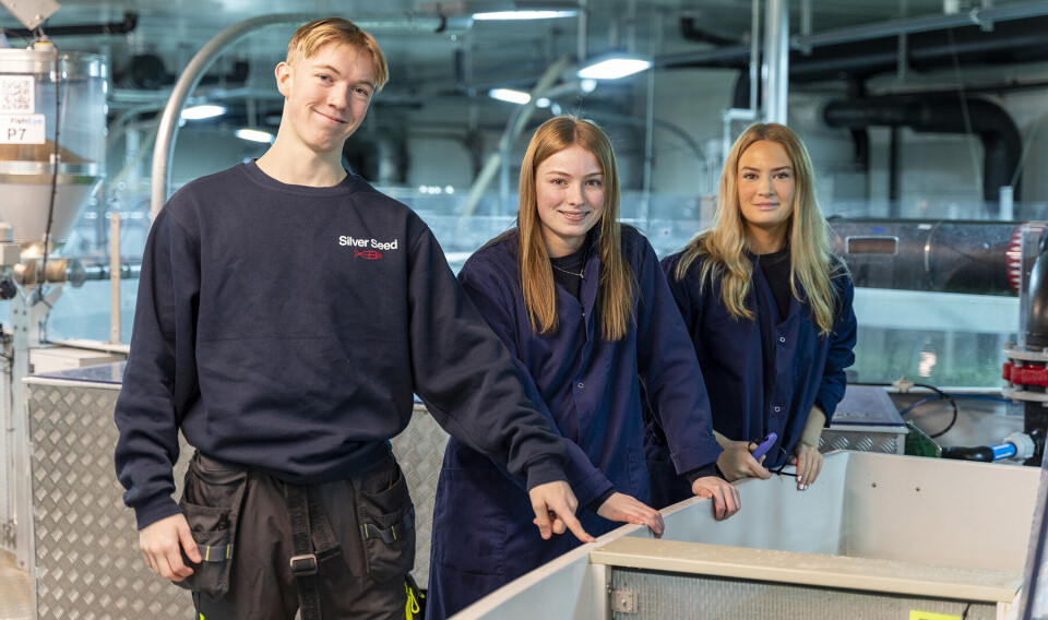 Elevene Sander Larsen, Tina Pettersen og Emilie Lund på besøk ved smoltanlegget Silver Seed på
Mølnarodden.