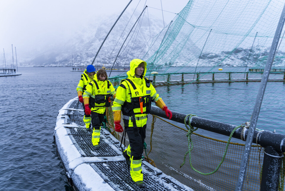Elevene Sander Larsen, Tina Pettersen og Emilie Lund på besøk hos Ellingsen Seafood sin lokalitet Soløya i Flakstad.