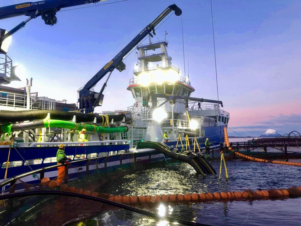 Dess Aquaculture sin brønnbåt «Aqua Tromøy» i arbeid. Foto: Lovundlaks