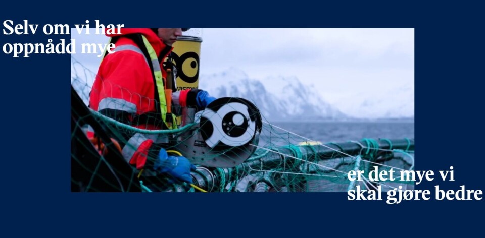 Den nye kampanjen fra Sjømat Norge skal vise at oppdrettsnæringen jobber for å løse sine utfordringer.