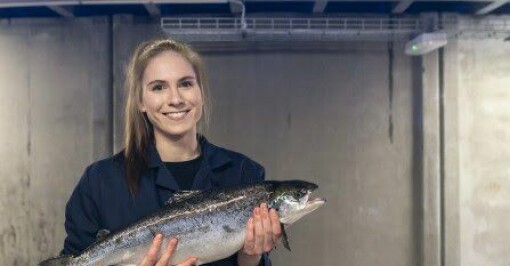 Fredrikstad Seafoods og BioMar Norge fortsetter samarbeidet – forlenger langsiktig fôravtale med 3 nye år