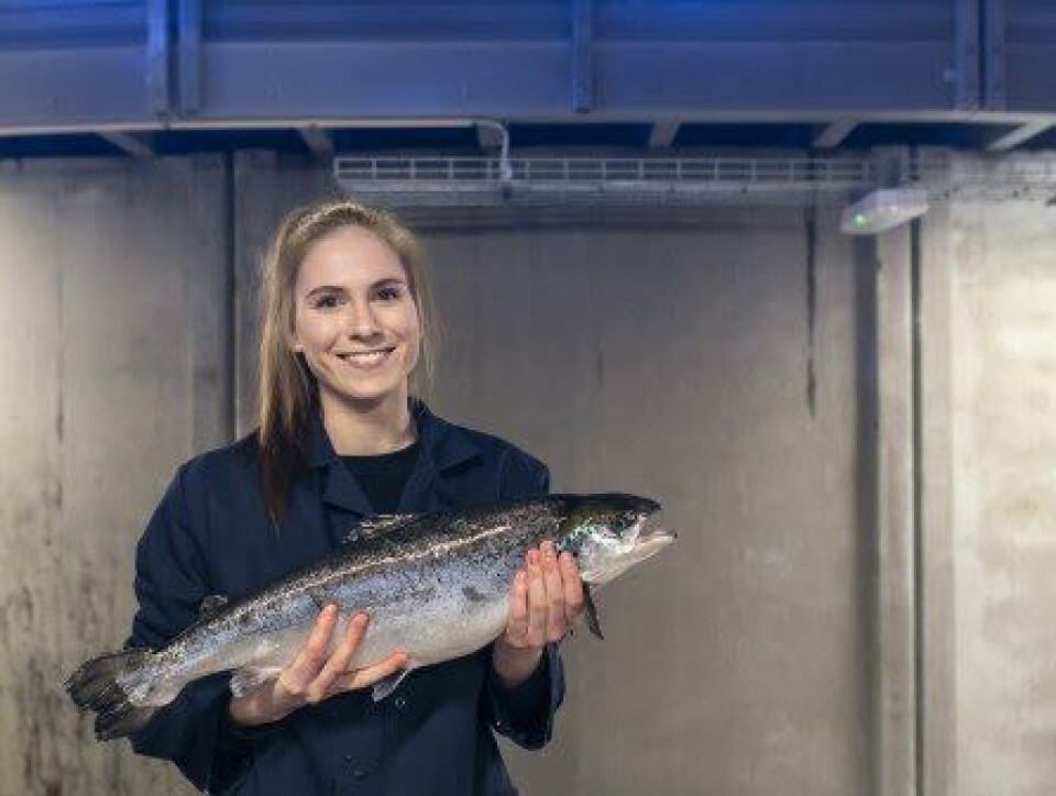 Fredrikstad Seafoods forlenger avtalen med BioMar. Foto: Fredrikstad Seafoods.