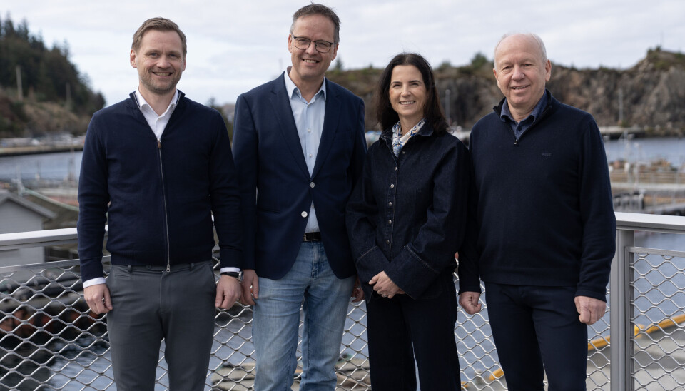 Hos Bremnes Seashore i Kvednavikjo, Bømlo (f.v.): Amund Fjørtoft (konsernsjef Insula), Sigvald Rist (adm.dir. Insula Norge), Linda Litlekalsøy Aase (konsernsjef Bremnes Seashore) og Olav Svendsen (hovudeigar Bremnes Seashore).
