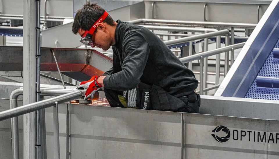 Slaktelinjen oppgraderes hos Salten N950.