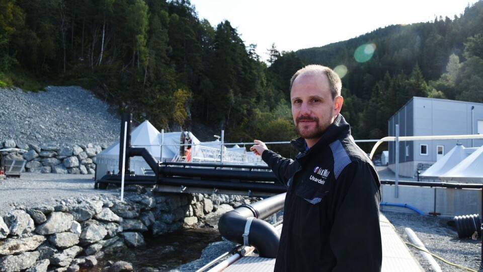 Tekna-medlem Marco Schaer har hatt ansvaret for planlegging, bygging og nå driften av SalMars anlegg på Langstein. – Allsidig, spennende og aldri kjedelig, sier han. Foto: Anne Grete Nordal
