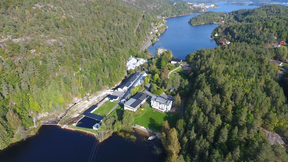 Sørsmolt AS ligger i Kjølebrønd utenfor Kragerø i Telemark. Foto: Sørsmolt.