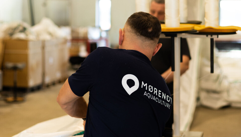 Rekordår for Mørenot: – Gir resultater