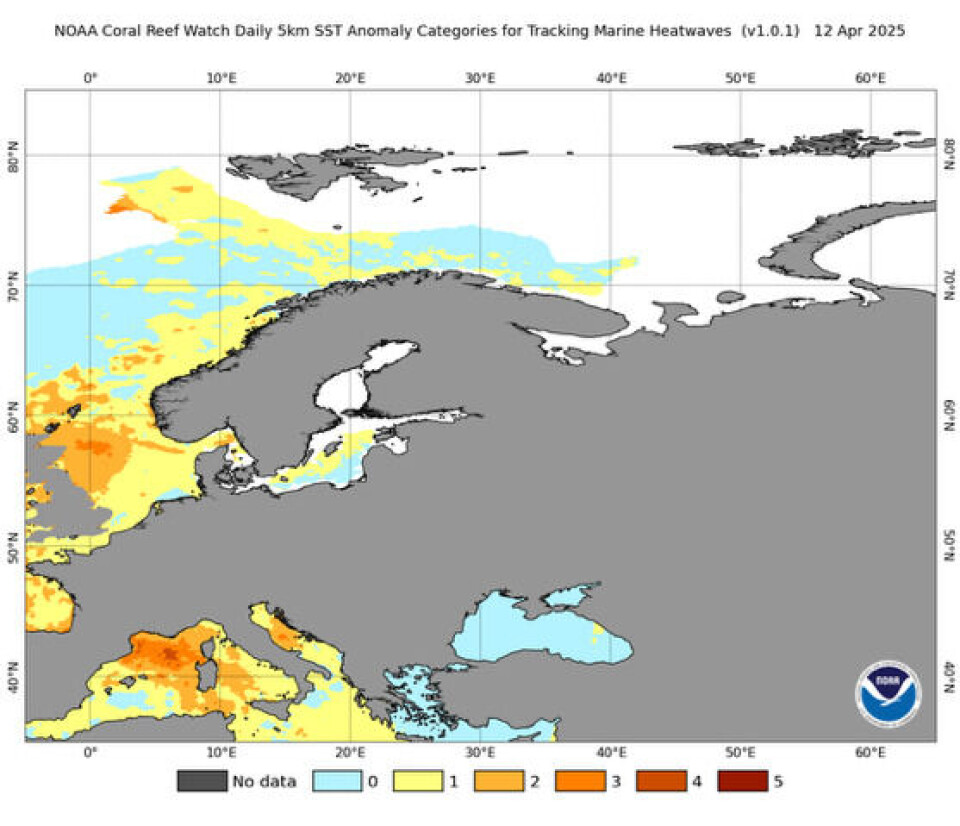 Marin hetebølge i norske havområder. Områder som er farget i gult, oransje, eller rødt er områder hvor temperaturen i overflaten er ekstrem den 12. april 2025 (i forhold til det som er normalt for denne årstiden). Fargestyrke forteller om intensiteten til den marine hetebølgen.