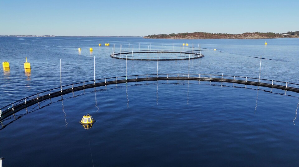 UVP6-sensoren ble utplassert ved en Nova Sea-lokalitet for å samle inn sanntidsdata om frittsvømmende lakseluslarver i naturlige omgivelser.
