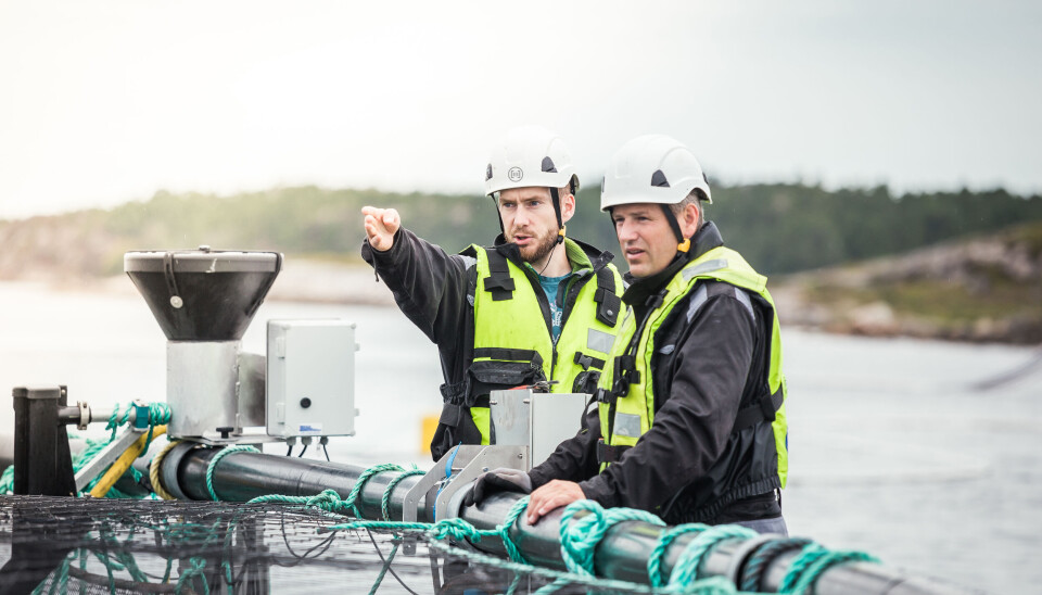 OptoScale med ny global partner