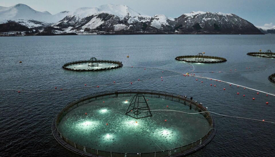 AKVA group opplever stor interesse for dypdrift. Her ser man Ode sin lokalitet Alida i Volda, der selskapet har nedsenkbare merder fra AKVA group.