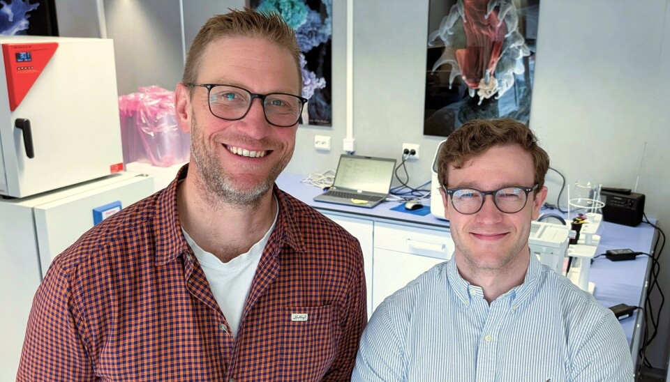 Jonas Bergman har tatt produkter ut i markedet før. Nå skal han gjøre det for Salmax. – Jeg er glad for at Jonas nå skal lede salgs- og markedsarbeidet vårt, sier daglig leder Jakob Mo i Salmax Group.
