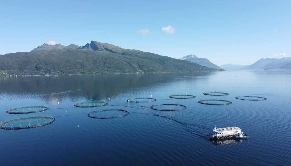 Foto av lokalitet Trollvika i Ibestad kommune.