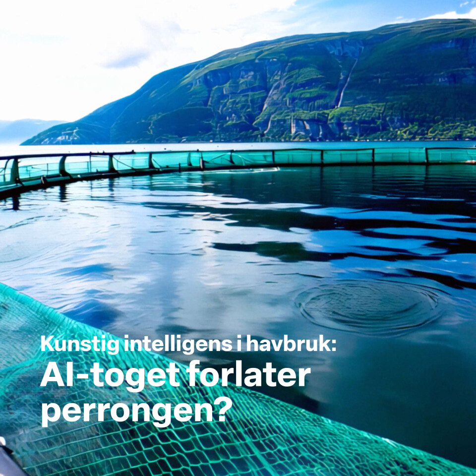 Nå er den her: Konferansen om kunstig intelligens i havbruk