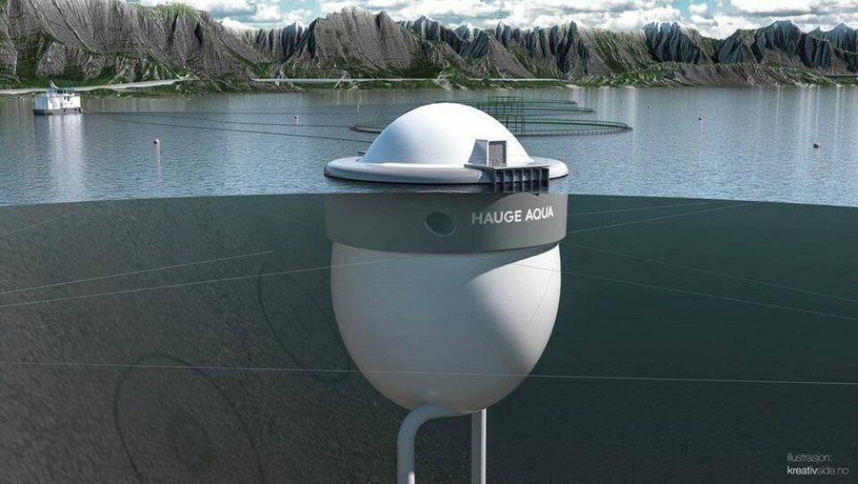 «Egget». Illustrasjon: Hauge Aqua