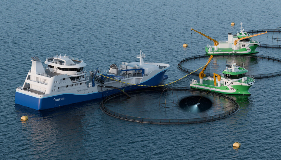 Intership, Aquaship og FSV Group fusjonerer
