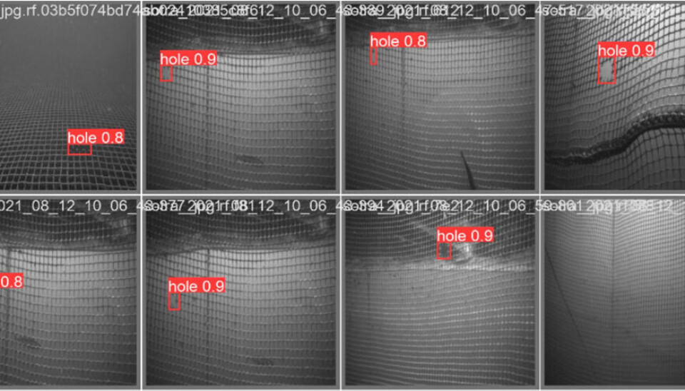 Her er noen eksempler fra hull detektert med kunstig intelligens.