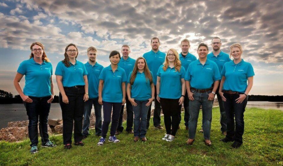 Denne gjengen vil det bli flere av nå når AquaBounty har fått tillatelse til å starte med matfiskproduksjon av GMO-laks også i Canada. Foto: AquaBounty.