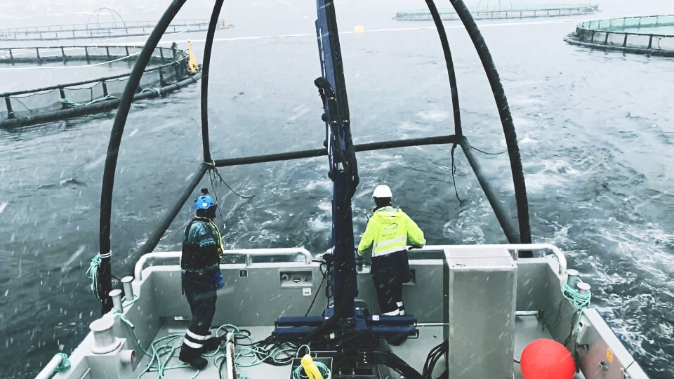 Lokaliteten Gregusvika har blitt mer selvforsynt etter at de tok i bruk fartøyet «Fossekall». Foto: Arctic Aqua/Vegard Mahle Aas. Lokaliteten Gregusvika har blitt mer selvforsynt etter at de tok i bruk fartøyet «Fossekall». Foto: Arctic Aqua/Vegard Mahle Aas.