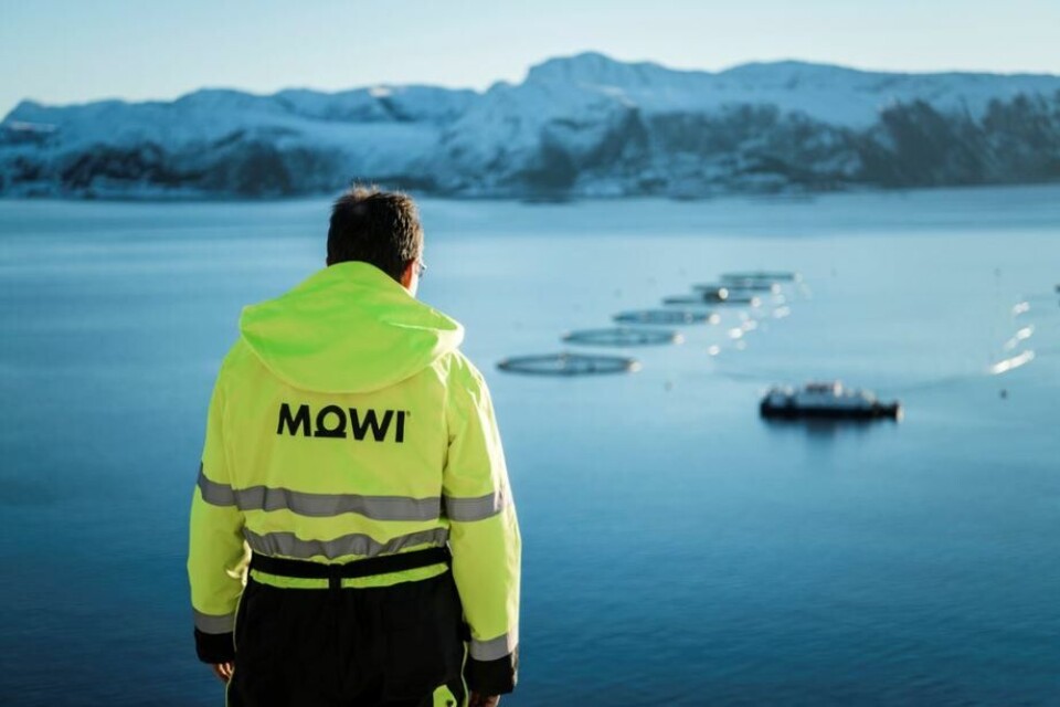 Mowi høstet rekordmye laks i både fjerde kvartal og 2020 i sin helhet. Foto: Mowi Mowi høstet rekordmye laks i både fjerde kvartal og 2020 i sin helhet. Foto: Mowi