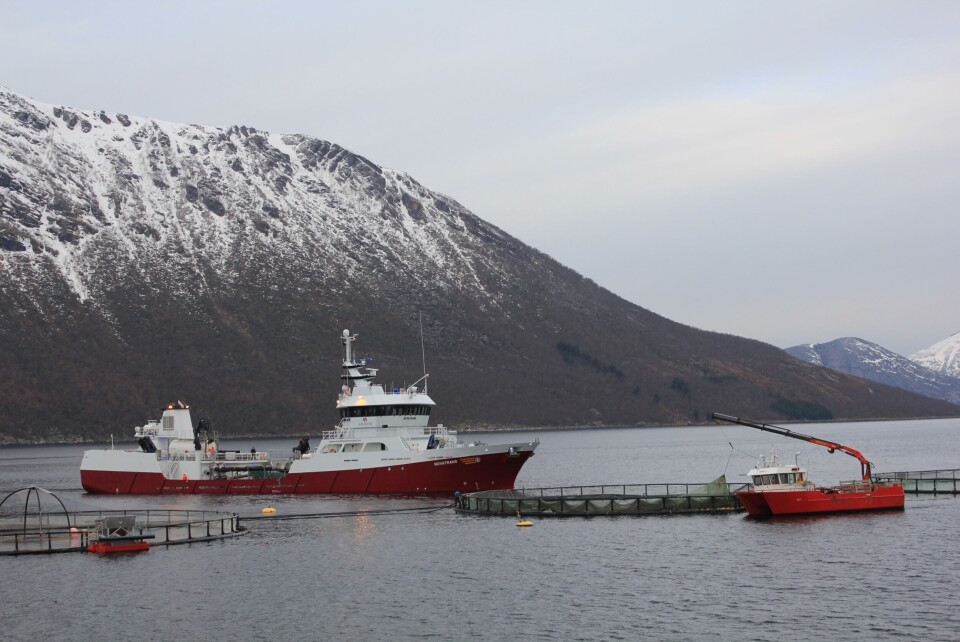 - ILA-utbruddet gjør at produksjonen vår vil bli betydelig redusert for 2015, som følge av dette, sier daglig leder Alf-Gøran Knutsen til kyst.no. Foto: Kvarøy Fiskeoppdrett