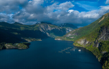 Oppdretter om havbruksmeldingen: – Ønsker sterkere insentiver