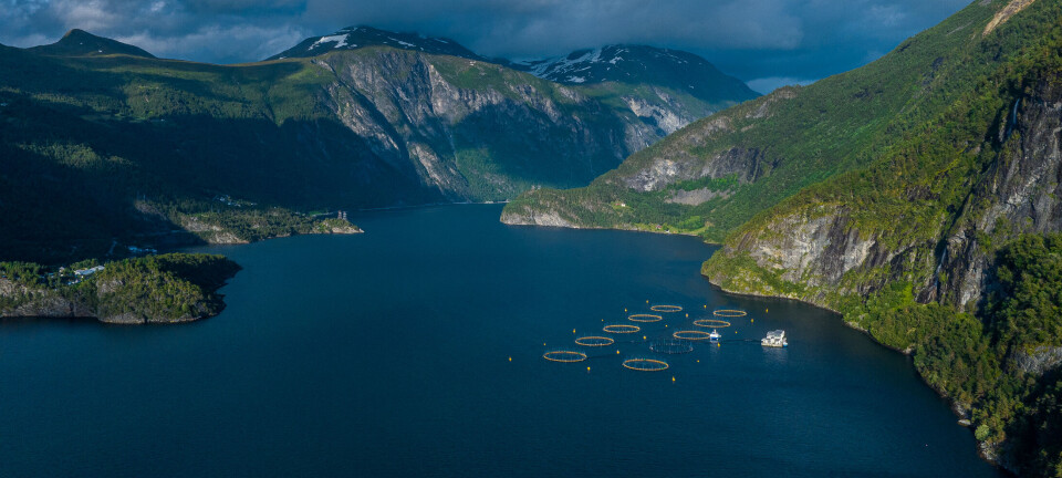 Oppdretter om havbruksmeldingen: – Ønsker sterkere insentiver