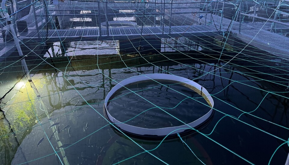 Undervannslys ved et forskningsanlegg i Nord-Norge i mørketiden.