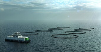 Kleiva Fiskefarm investerer i klimateknologi