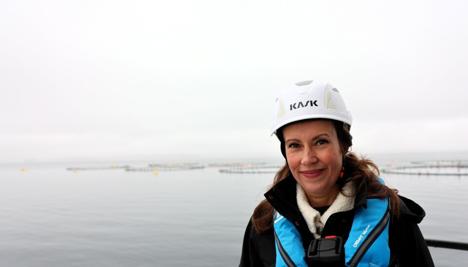 Fiskeri- og havminister Marianne Sivertsen Næss.