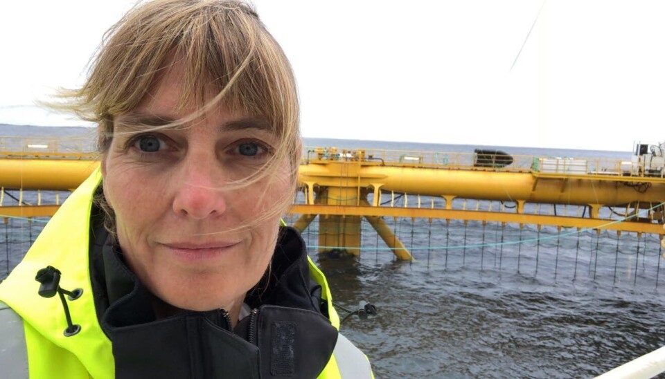 Marianne Halse fra SalMar er en av to nye styremedlem i FHF.