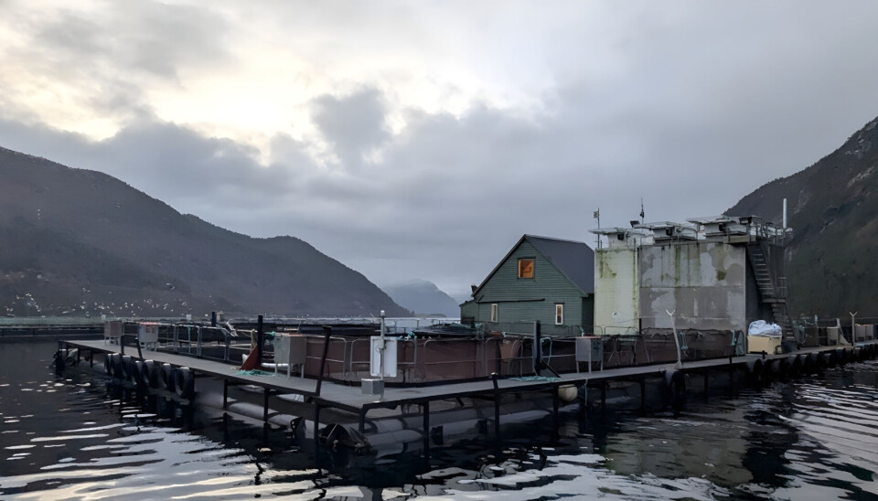 Forskningsanlegget Floteneset i Vadheim, der fôrforsøk med blant annet erte- og gressprotein gjennomføres i samarbeid mellom Aller Aqua og NMBU.