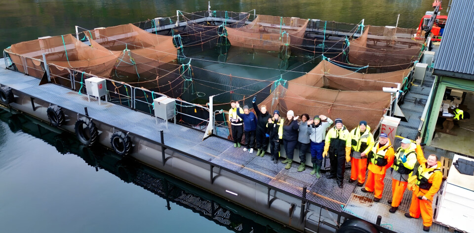 Deltakerne fra Aller Aqua og NMBU under et av uttakene av laks fôret med gressprotein ved forsknings anlegget i Vadheim.
