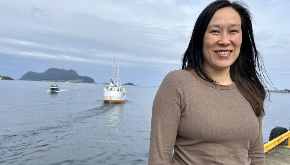 Med bakgrunn fra fylkeskommunen og en doktorgrad i marinbiologi skal Rebekka Varne (45) styrke Multiconsults arbeid med areal- og tillatelsesprosesser i havbruk.