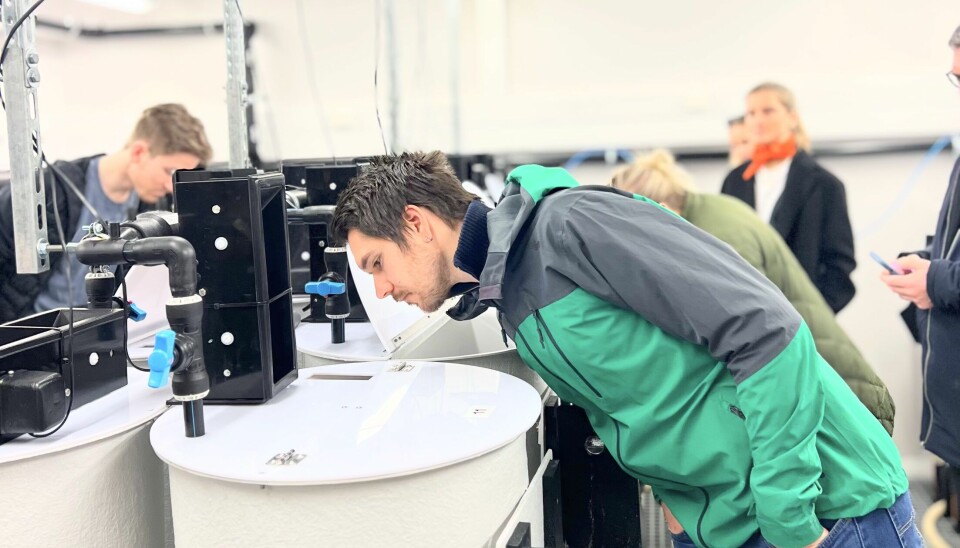 Stian Malt fra Lerøy jobber til daglig med logistikk, men sier Seafood Next har gitt ham et større engasjement for hele næringen. – Nå prøver jeg å få med meg det meste, forteller han.